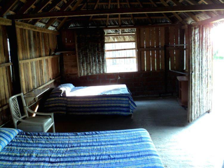 Cabanas Pie De La Cuesta Hotel Coyuca Szoba fotó